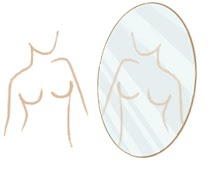 Observación de  los pechos